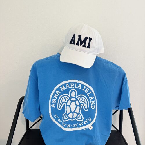 turtle tee with coordinates bright blue back
