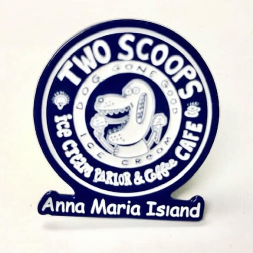 Two Scoops Logo Pin