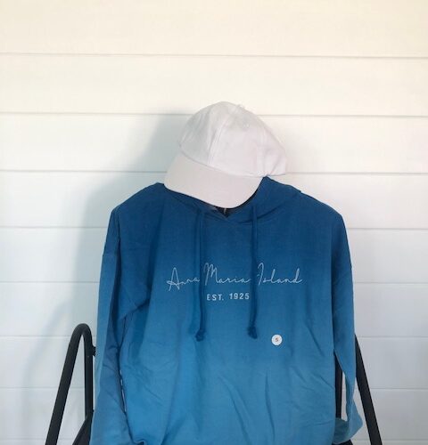 Lightweight ombre hoodie blue